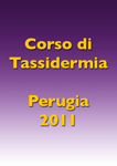 perugia